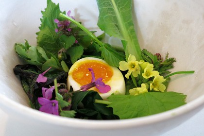 Noma Copenhagen